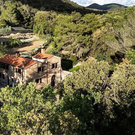 Ex Water Mill Le Ferriere Old Stone House 15th Century 公寓 利沃诺