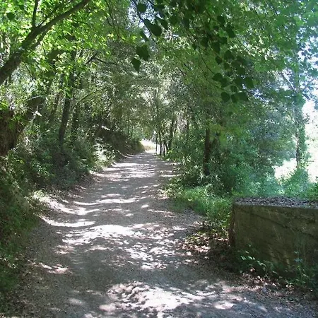 Ex Water Mill Le Ferriere Old Stone House 15th Century 公寓 *